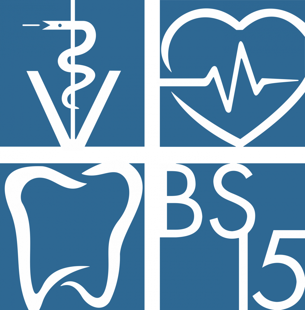 Logo BS15